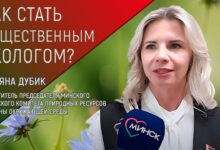 Photo of Эко-офис: забота о природе начинается с рабочего места