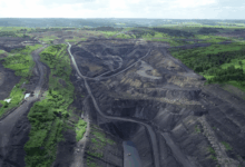 Photo of Эко-офис: забота о природе начинается с рабочего места