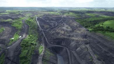 Photo of Эко-офис: забота о природе начинается с рабочего места