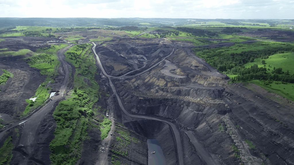 Фото 55 — Эко-офис: забота о природе начинается с рабочего места